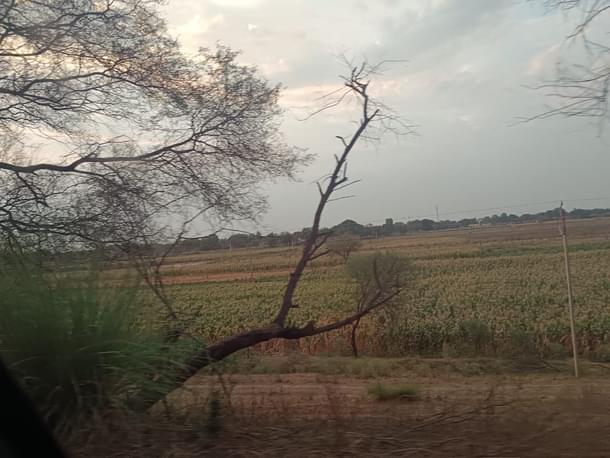 Farmlands near Ballia, Uttar Pradesh